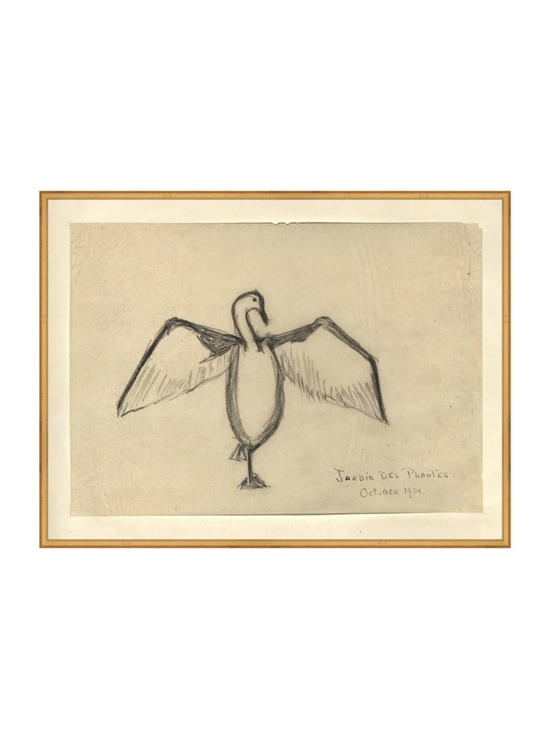 Sea Raven Sketch - HJART0191 - GLD - 30x40
