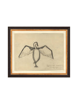 Sea Raven Sketch - HJART0191 - BGD - 8x10