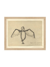 Sea Raven Sketch - HJART0191 - OAK - 11x14