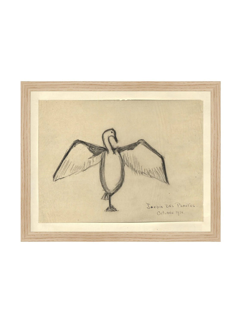 Sea Raven Sketch - HJART0191 - OAK - 11x14