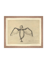 Sea Raven Sketch - HJART0191 - WNT - 11x14