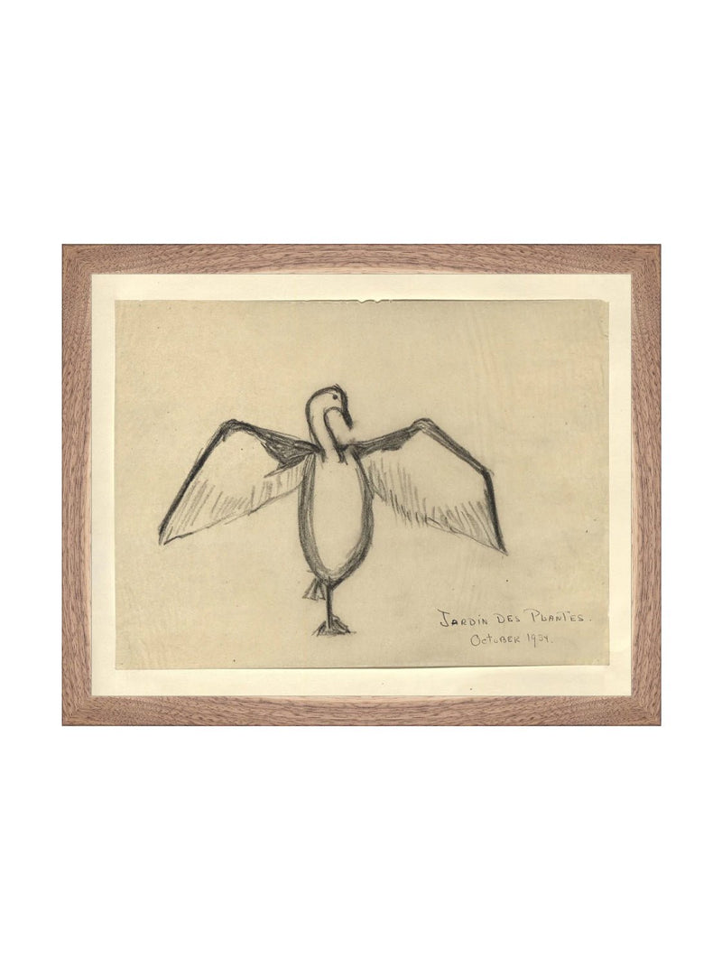 Sea Raven Sketch - HJART0191 - WNT - 11x14