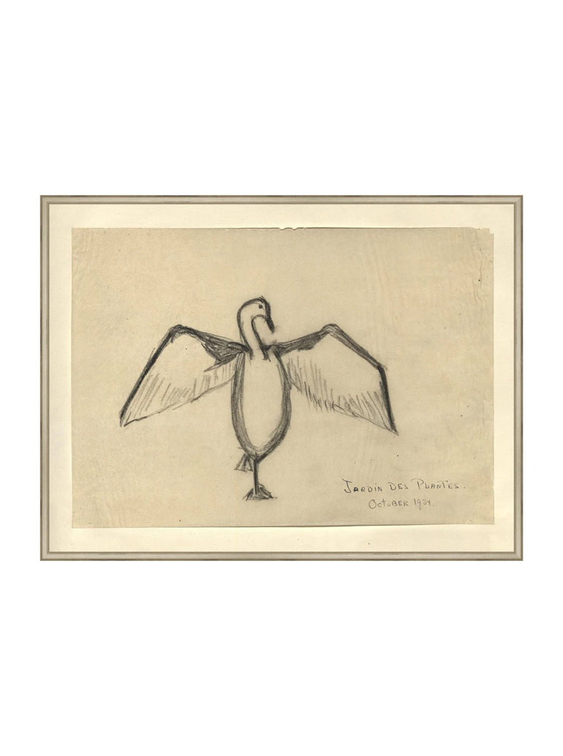 Sea Raven Sketch - HJART0191 - SIL - 30x40