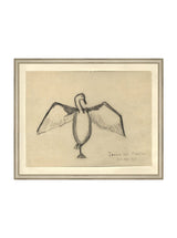 Sea Raven Sketch - HJART0191 - SIL - 16x20
