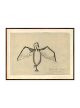 Sea Raven Sketch - HJART0191 - BGD - 30x40