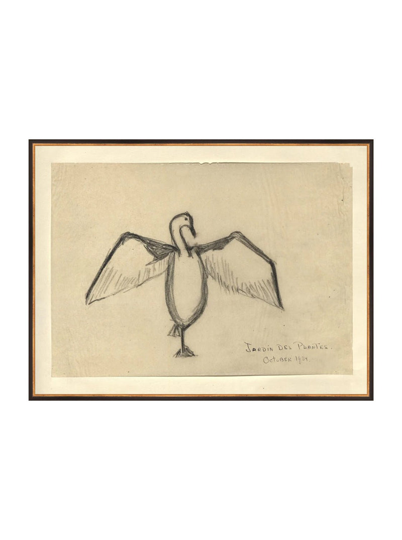Sea Raven Sketch - HJART0191 - BGD - 30x40