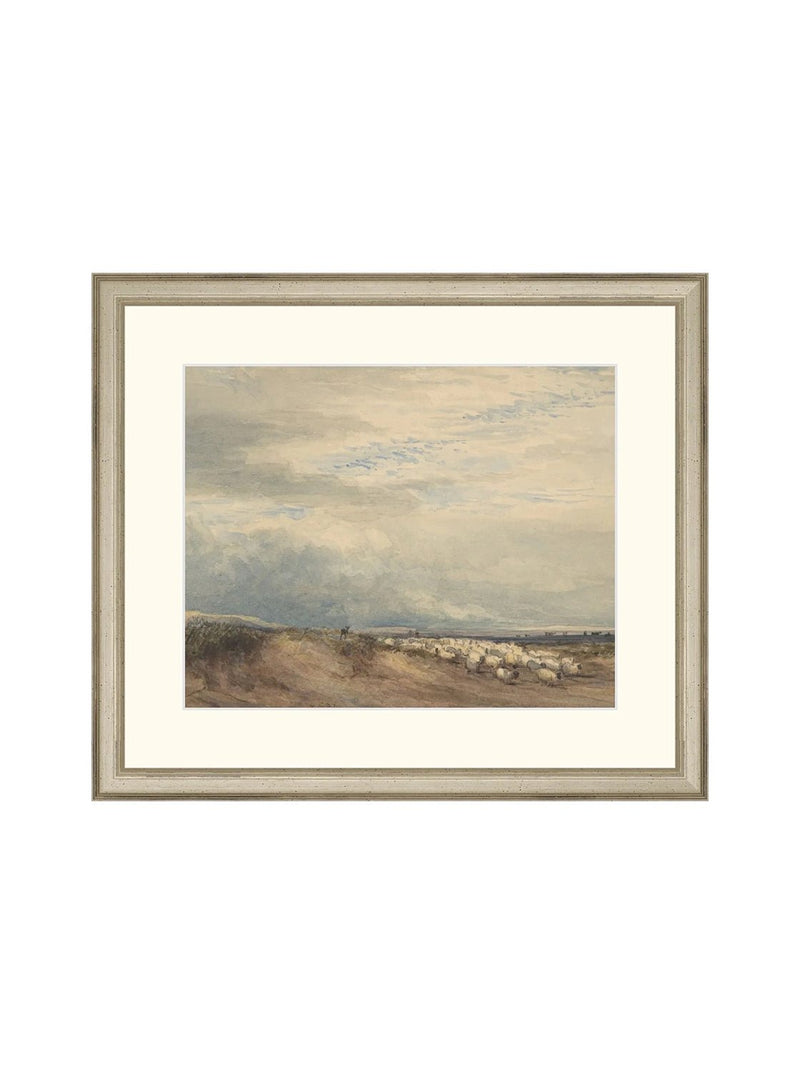 Sheep Herd - HJART0275 - SLV - 12x14