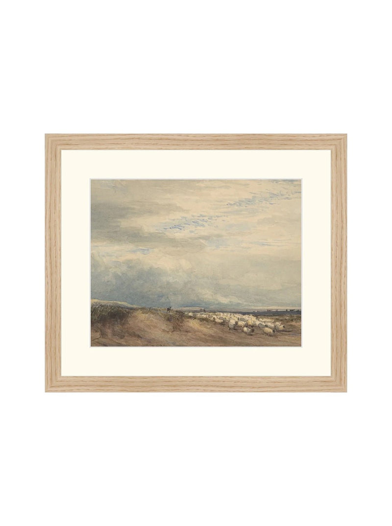 Sheep Herd - HJART0275 - OAK - 12x14