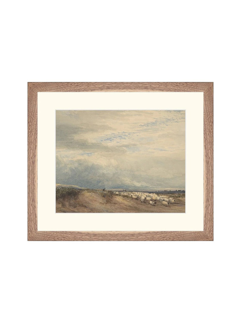 Sheep Herd - HJART0275 - WLN - 12x14