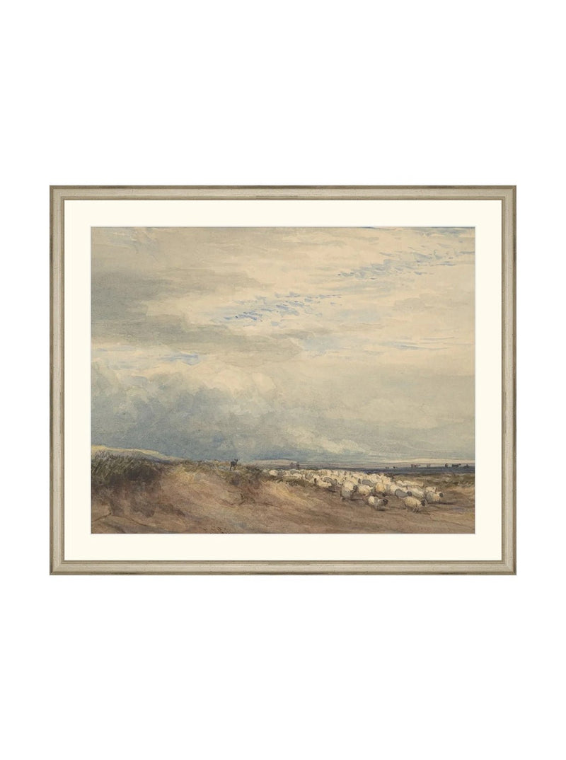 Sheep Herd - HJART0275 - SLV - 20x24