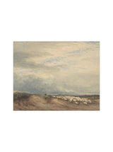 Sheep Herd - HJART0275 - UF - 8x10
