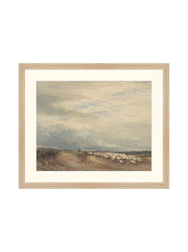 Sheep Herd - HJART0275 - OAK - 15x18
