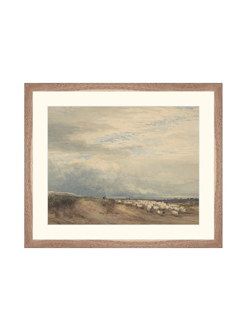 Sheep Herd - HJART0275 - WLN - 15x18