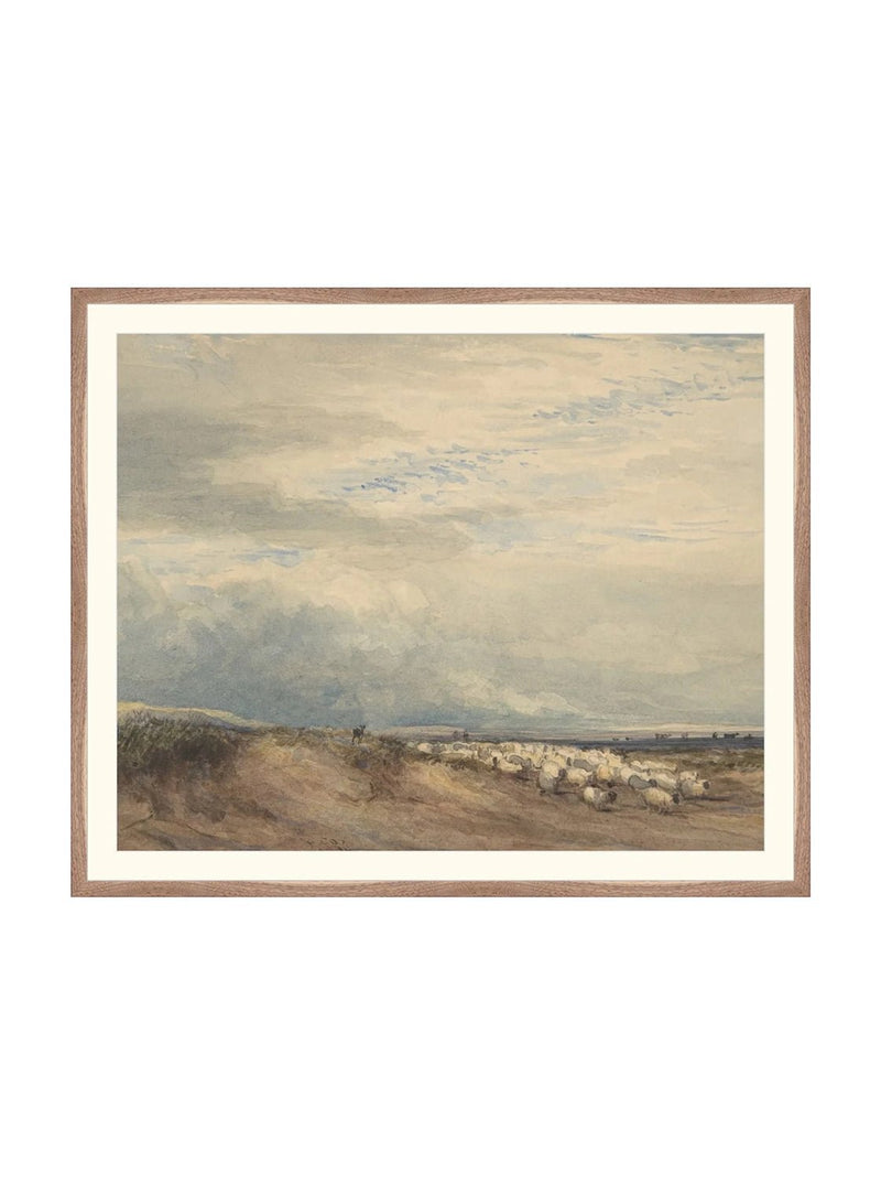 Sheep Herd - HJART0275 - WLN - 28x34