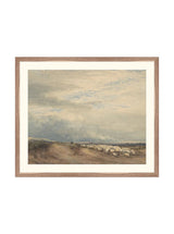 Sheep Herd - HJART0275 - WLN - 20x24