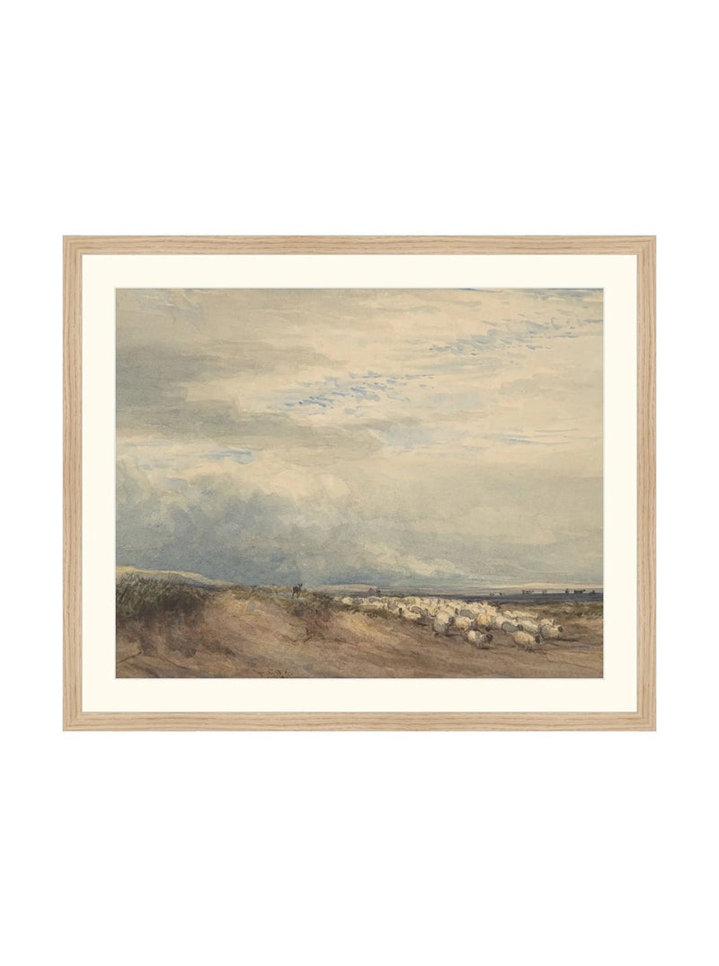 Sheep Herd - HJART0275 - OAK - 20x24