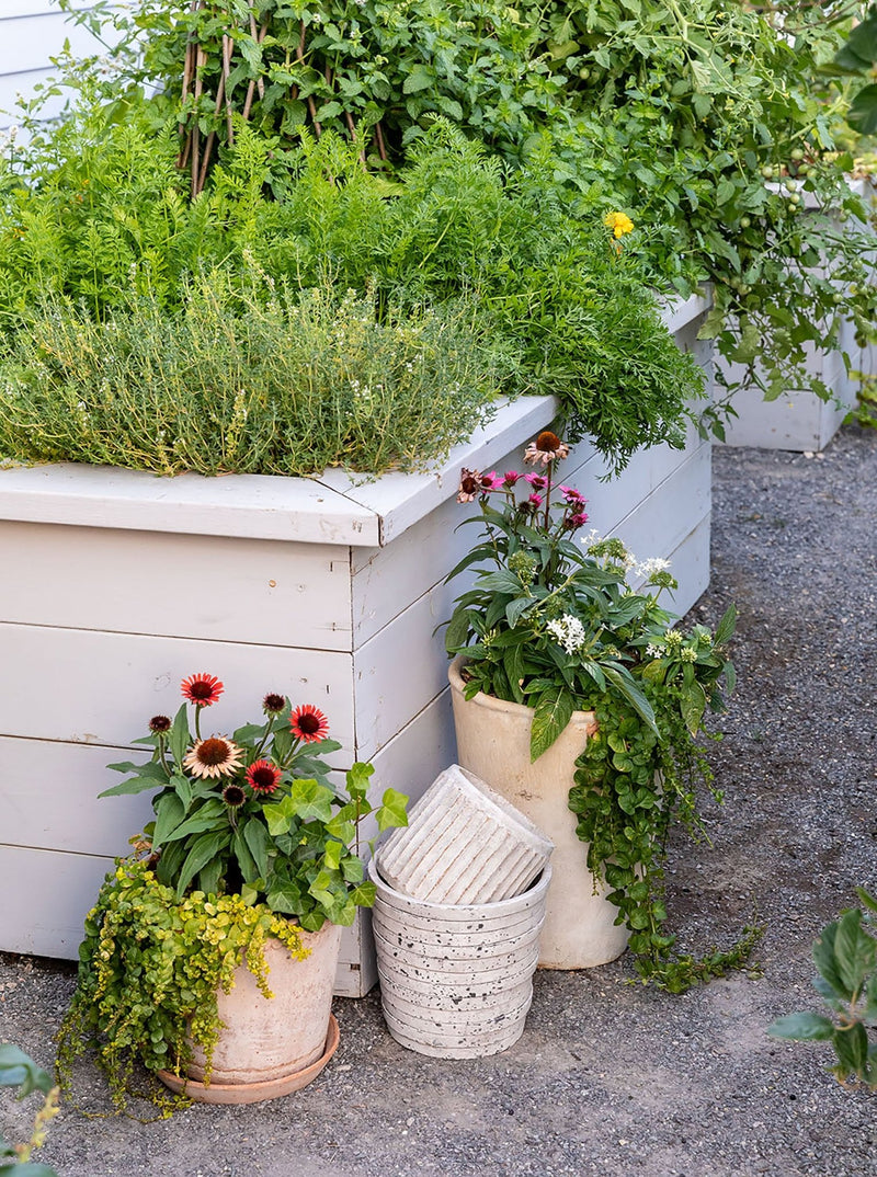 striped plant pot Striped Stone Pot – House of Jade Home