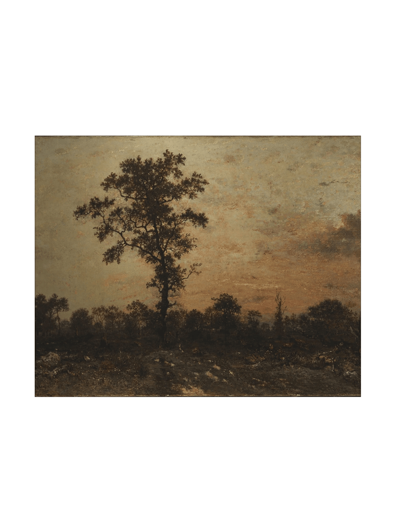 Sunrise Forest - HJART0321 - UF - 11x14