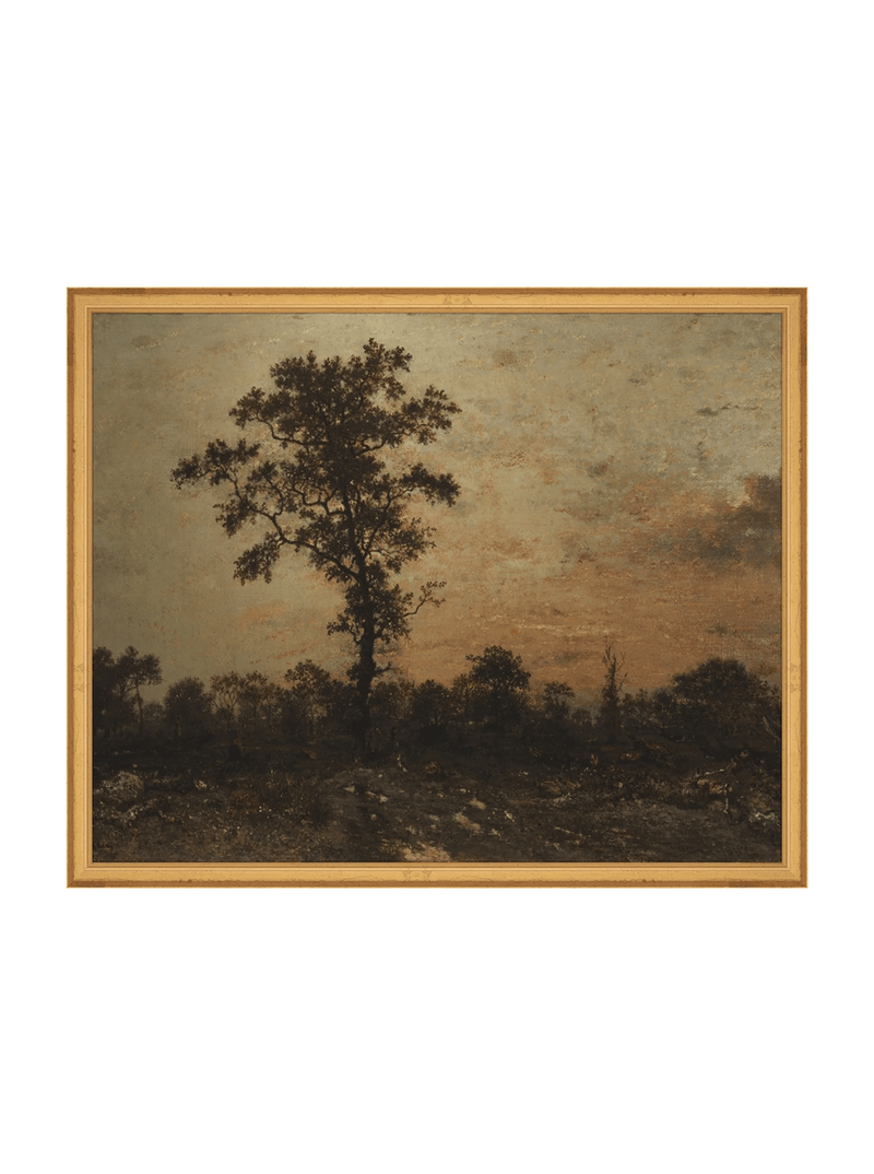 Sunrise Forest - HJART0321 - GLD - 16x20
