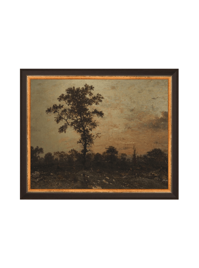 Sunrise Forest - HJART0321 - BKG - 8x10
