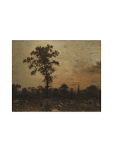 Sunrise Forest - HJART0321 - UF - 8x10