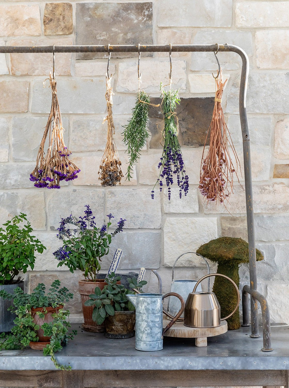 Tin Watering Can – House of Jade Home