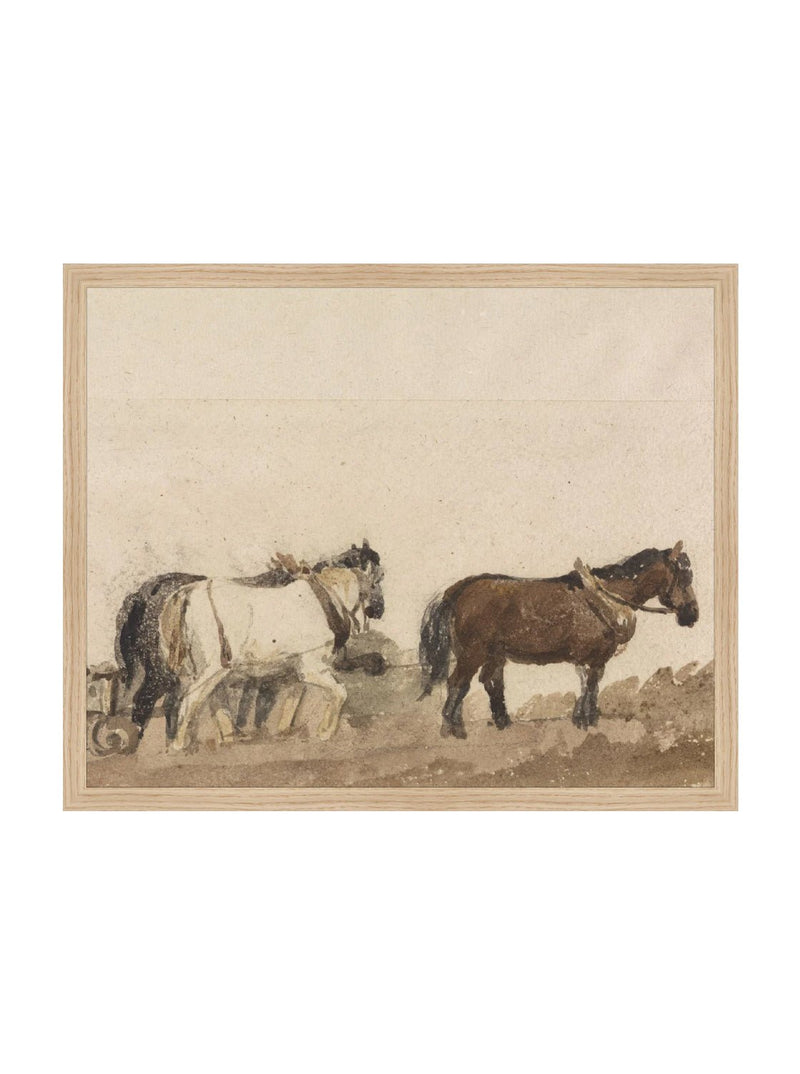 Watercolor Horses - HJART0196 - OAK - 16x20