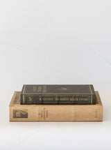 Well Dressed Home Book Box | Set of 2 - HJDCR0130 - SET