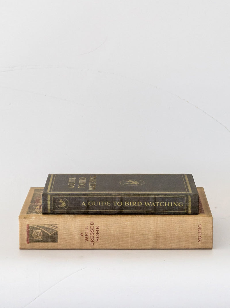Well Dressed Home Book Box | Set of 2 - HJDCR0130 - SET