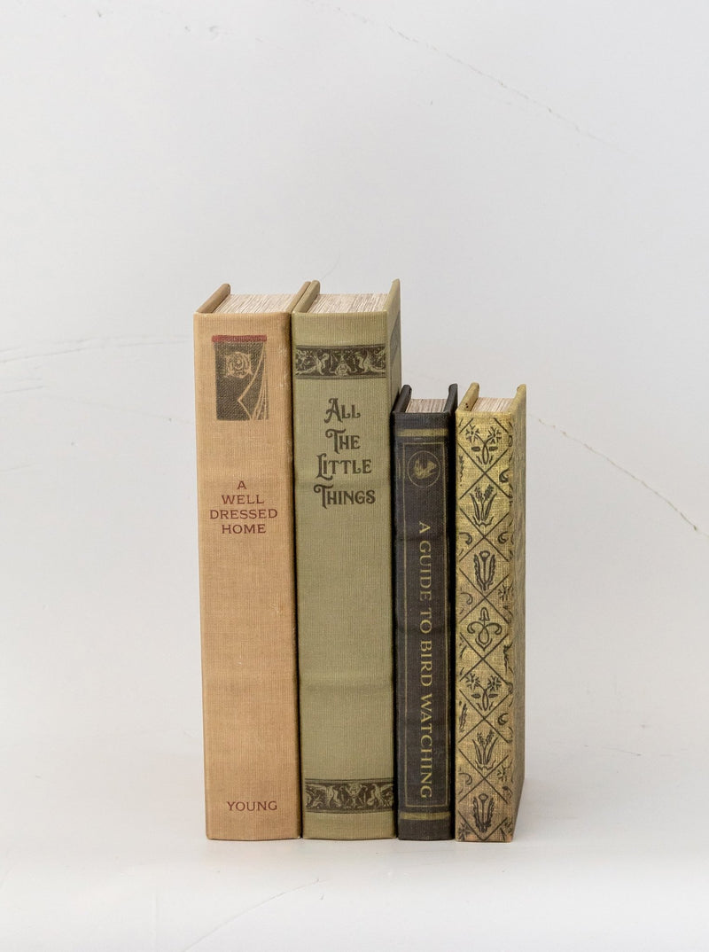 Well Dressed Home Book Box | Set of 2 - HJDCR0130 - SET
