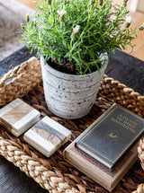 Well Dressed Home Book Box | Set of 2 - HJDCR0130 - SET