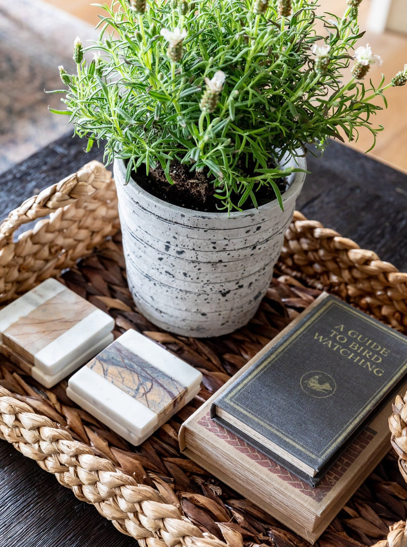 Well Dressed Home Book Box | Set of 2 - HJDCR0130 - SET