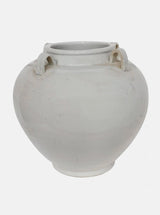 Wilhelm Jar - HJDCR0047 - S