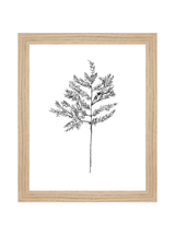 Winter Foliage Sketch II - HJART0332 - OAK - 8x10
