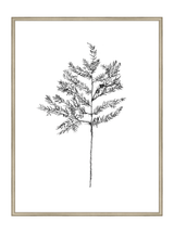 Winter Foliage Sketch II - HJART0332 - SLV - 30x40