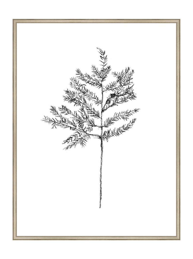 Winter Foliage Sketch II - HJART0332 - SLV - 30x40