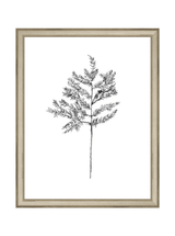 Winter Foliage Sketch II - HJART0332 - SLV - 11x14