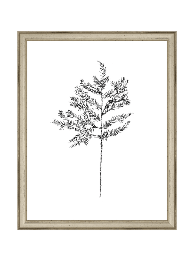 Winter Foliage Sketch II - HJART0332 - SLV - 11x14