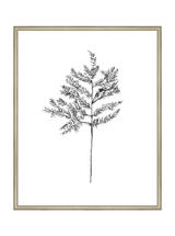Winter Foliage Sketch II - HJART0332 - SLV - 24x30