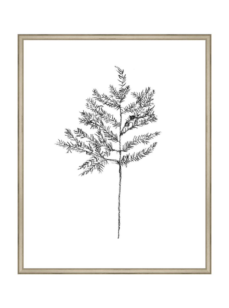 Winter Foliage Sketch II - HJART0332 - SLV - 24x30
