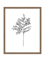 Winter Foliage Sketch II - HJART0332 - WAL - 16x20