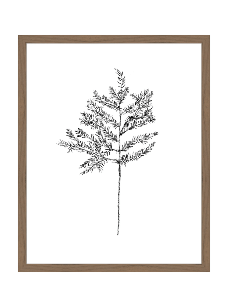 Winter Foliage Sketch II - HJART0332 - WAL - 16x20