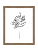 Winter Foliage Sketch II - HJART0332 - WAL - 11x14