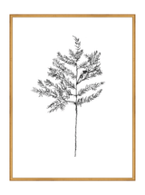 Winter Foliage Sketch II - HJART0332 - GLD - 30x40