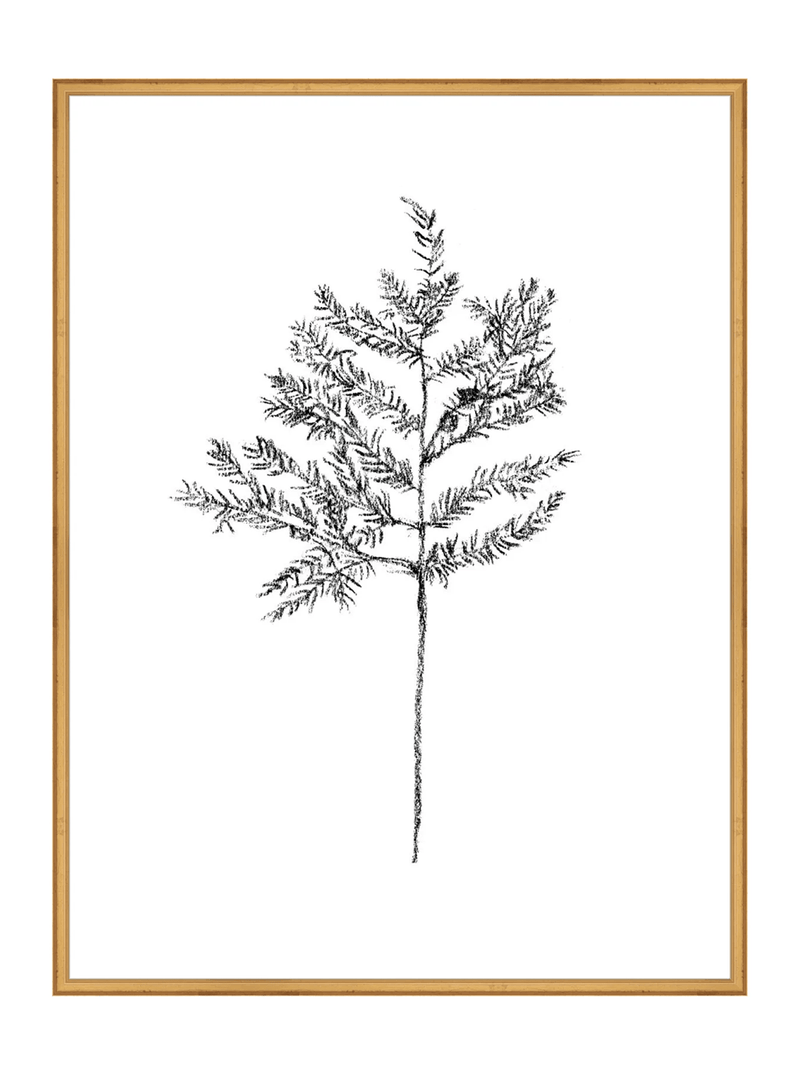 Winter Foliage Sketch II - HJART0332 - GLD - 30x40