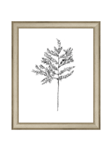 Winter Foliage Sketch II - HJART0332 - SLV - 8x10