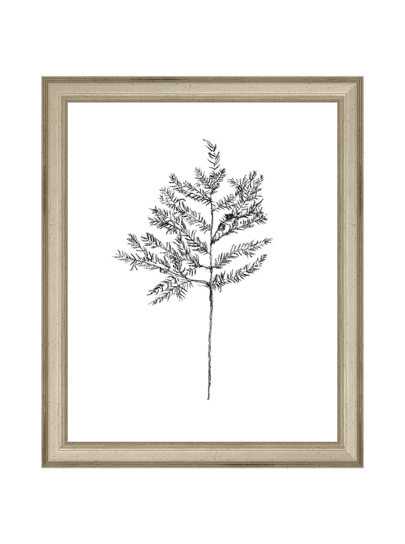 Winter Foliage Sketch II - HJART0332 - SLV - 8x10