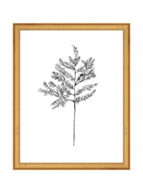 Winter Foliage Sketch II - HJART0332 - GLD - 11x14