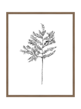 Winter Foliage Sketch II - HJART0332 - WAL - 24x30