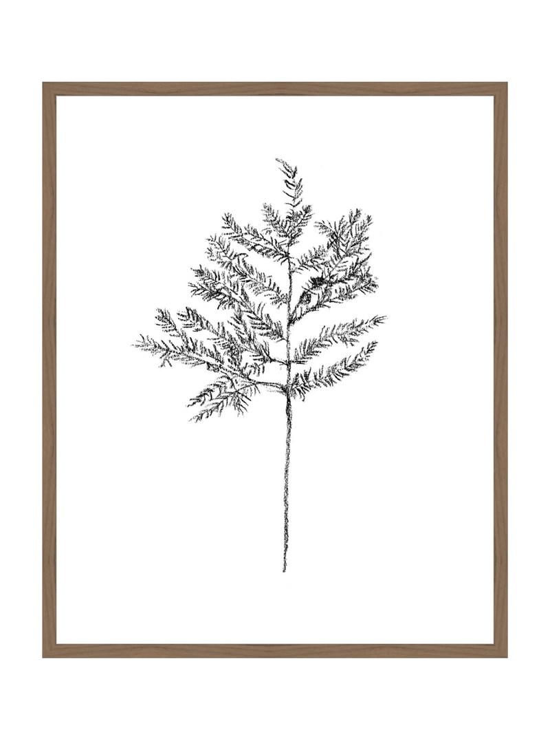 Winter Foliage Sketch II - HJART0332 - WAL - 24x30